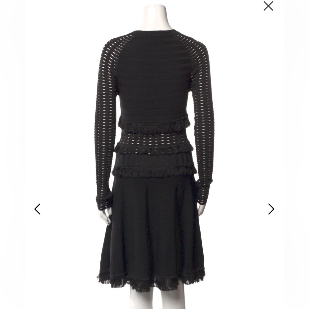 Jason Wu Fringe Mesh Long Sleeve A-line Holiday Dress - Picture 2 of 7